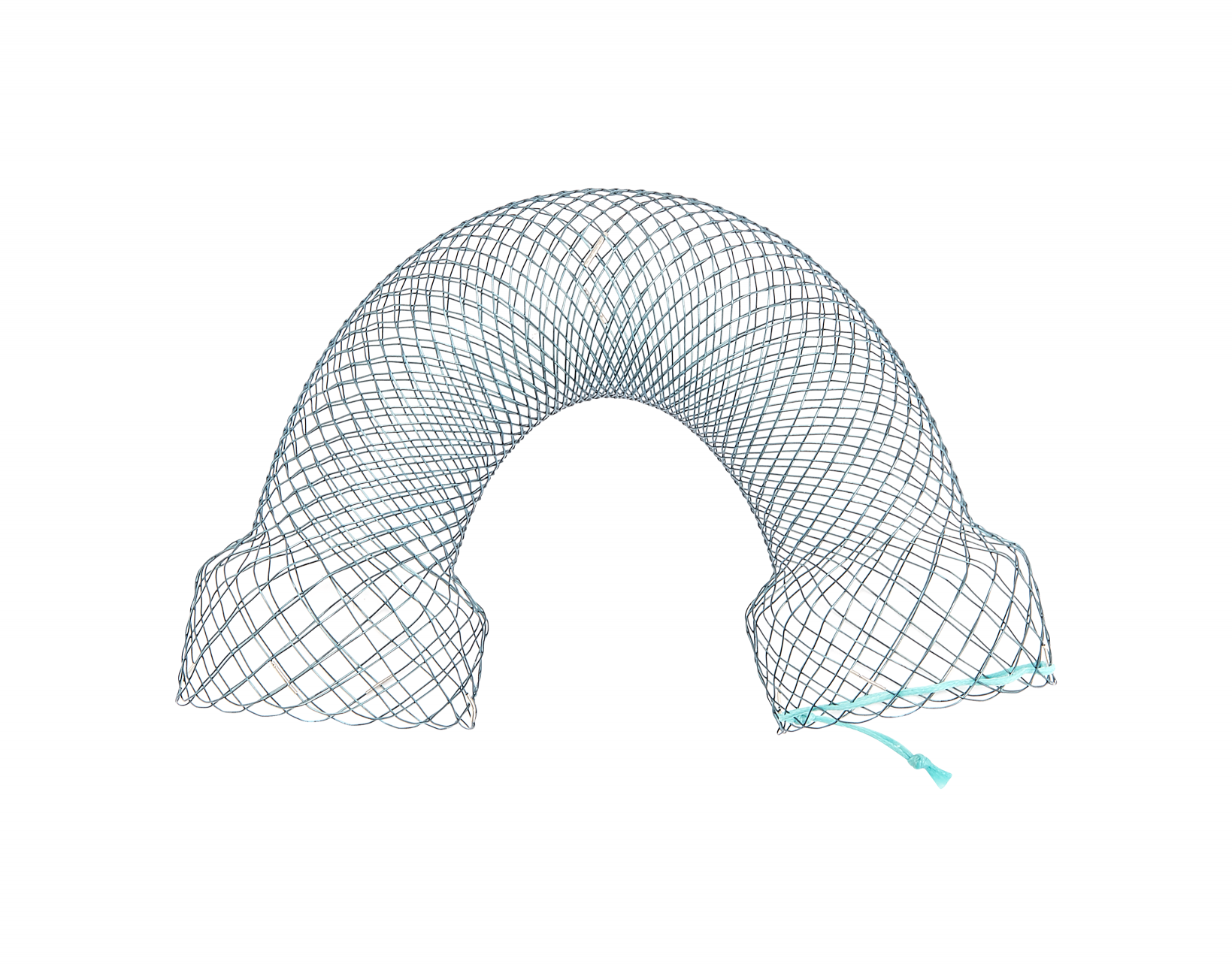 Esophageal Stents Gastroenterology